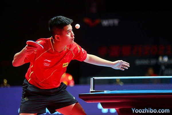 林诗栋个人资料介绍