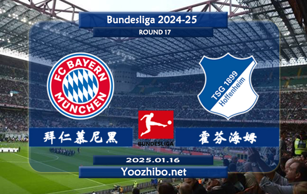 拜仁慕尼黑vs霍芬海姆赛事前瞻分析：拜仁慕尼黑本赛季表现出色