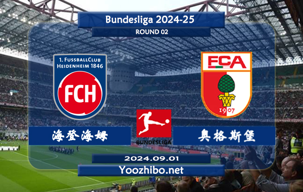 海登海姆vs奥格斯堡赛事前瞻分析：海登海姆状态出色