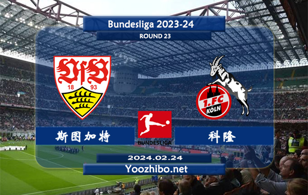 斯图加特vs科隆赛事前瞻分析：斯图加特本赛季发挥出色