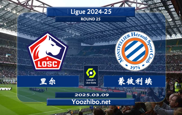 里尔vs蒙彼利埃赛事前瞻分析：里尔表现出色