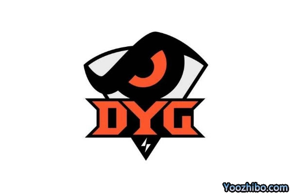 王者荣耀西部赛区-DYG战队现役成员及战绩