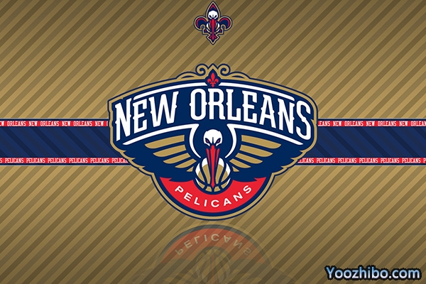 2012-2013赛季黄蜂队球员名单阵容一览