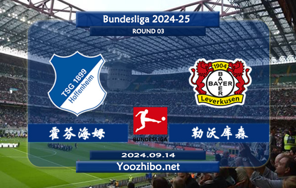 霍芬海姆vs勒沃库森赛事前瞻分析：勒沃库森进攻出色