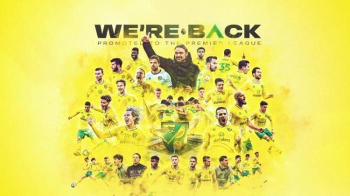 时隔一个赛季! 诺维奇提前五轮重返英超