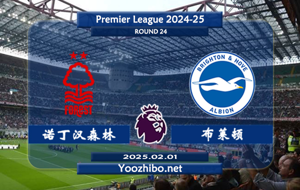 诺丁汉森林vs布莱顿赛事前瞻分析：诺丁汉森林本赛季状态提升不少