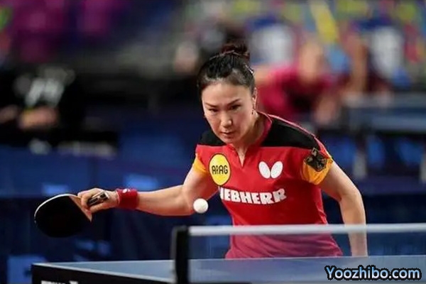 单晓娜个人资料介绍