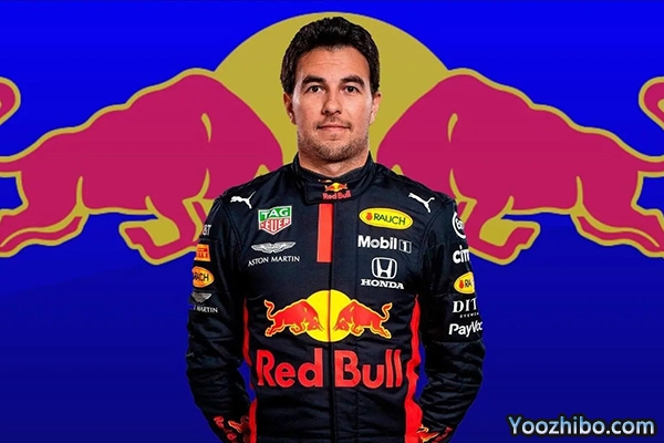 F1车手佩雷兹个人资料介绍