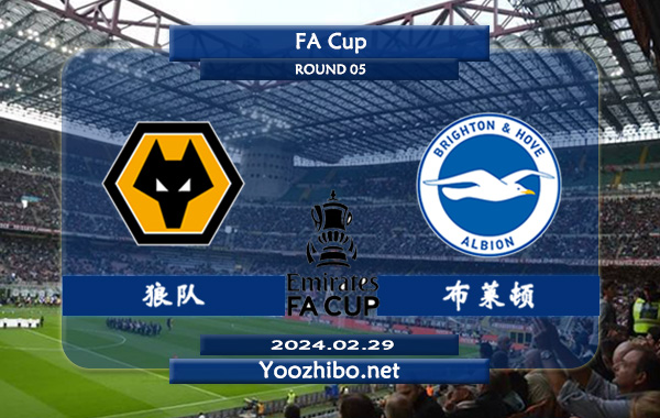 狼队vs布莱顿赛事前瞻分析：狼队进攻能力能力不俗