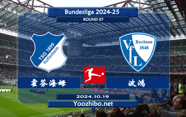 霍芬海姆vs波鸿赛事前瞻分析：霍芬海姆半场有球能力出色