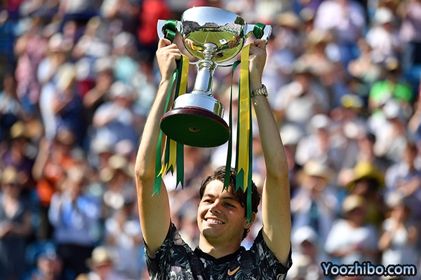 弗里茨世界排名介绍