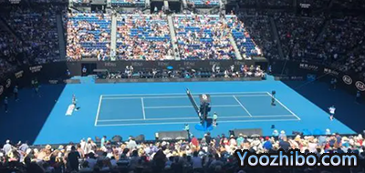 网球四大公开赛是指什么？