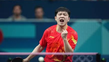 乒乓球赛场上的风波：王楚钦球拍与樊振东闪光灯事件