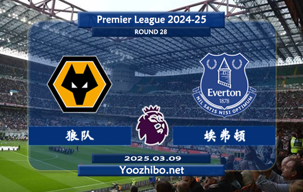 狼队vs埃弗顿赛事前瞻分析：埃弗顿近期球队状态有所提升