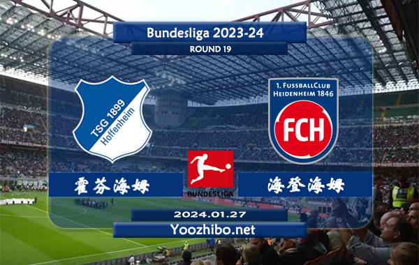 霍芬海姆vs海登海姆赛事前瞻分析：霍芬海姆近期比赛不缺球