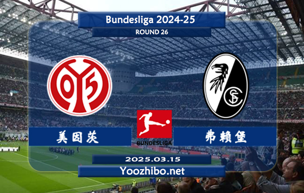美因茨vs弗赖堡赛事前瞻分析：美因茨本赛季表现出色