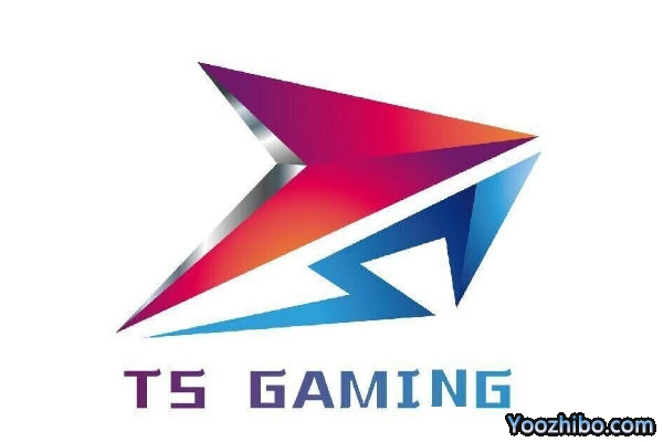 王者荣耀西部赛区-TS战队现役成员及战绩