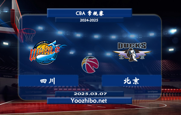 03月07日 CBA常规赛 四川vs北京直播前瞻分析