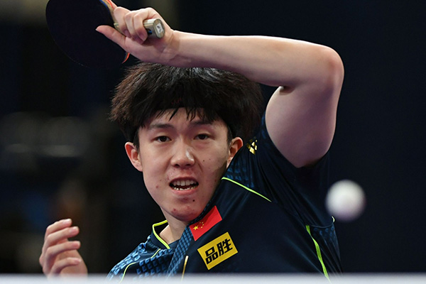 王楚钦个人资料介绍