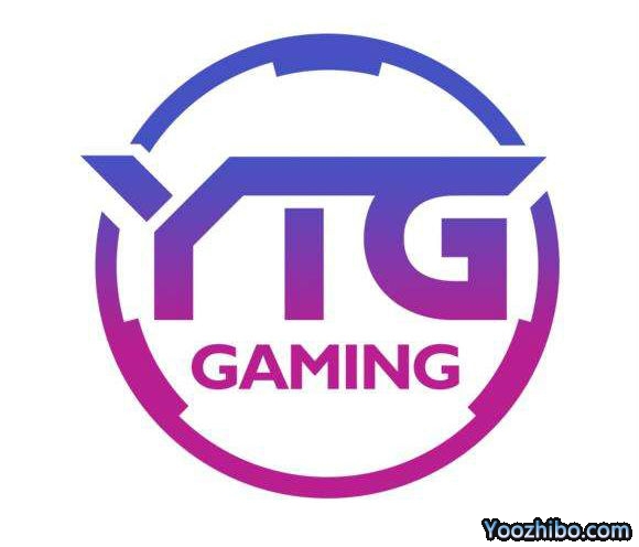 王者荣耀西部赛区-YTG战队现役成员及战绩