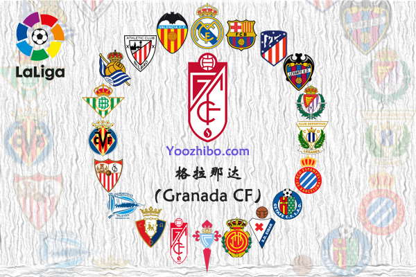 2019-20赛季格拉纳达阵容名单一览