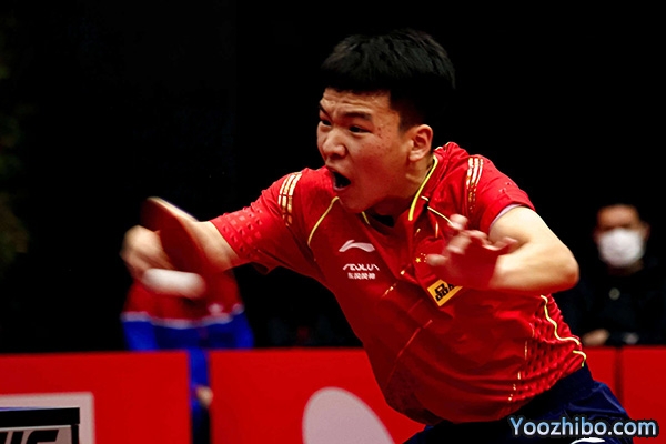 向鹏个人资料介绍