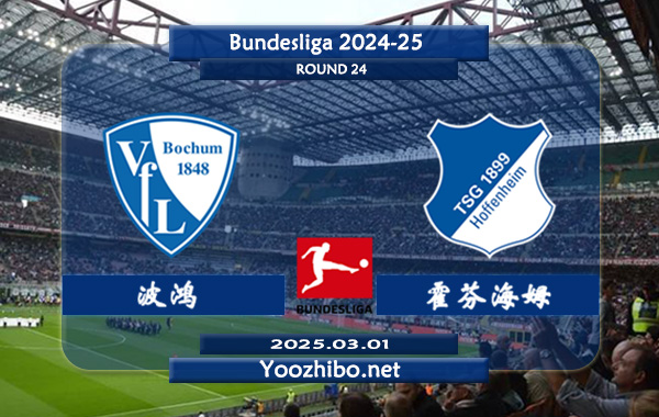 波鸿vs霍芬海姆赛事前瞻分析：波鸿上轮联赛客场1-1战平沃尔夫斯堡