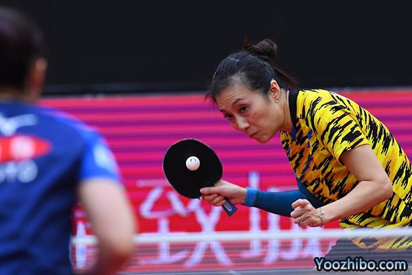 韩莹个人资料介绍