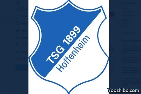 <a href=/zuqiuzhijia/dejia/ target=_blank class=infotextkey>德甲</a>球队霍芬海姆简介一览