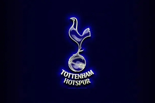 热刺荣耀之路：从足总杯双冠到欧冠决赛的辉煌征程