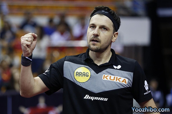 波尔个人资料介绍