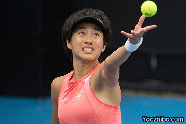 张帅个人资料简介