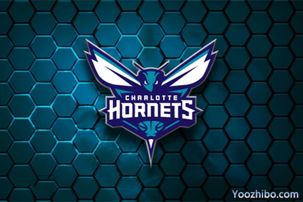 2019-2020赛季<a href=/lanqiuzhijia/hornets/ target=_blank class=infotextkey>黄蜂</a>队队徽