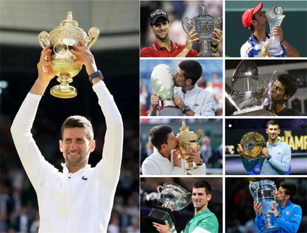 德约科维奇职业生涯荣誉一览