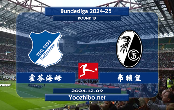 霍芬海姆vs弗赖堡赛事前瞻分析：霍芬海姆进攻不俗